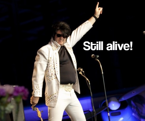 09--RM--Referenz--Elvis-still-alive--mobil-600500.jpeg